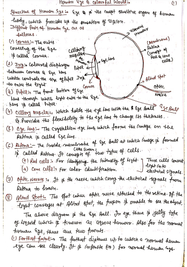 Class 10 Science Physics Handwritten Notes PDF